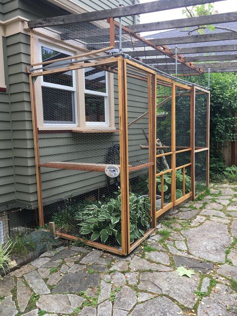 See 10 screened cat patios on the Portland Catio Tour (photos) | OregonLive.com Cat Patios, Outside Cat Enclosure, Catio Plans, Diy Cat Enclosure, Ideas For Cats, Closed Terrarium, Cat Patio, Building A Door, Outdoor Cat Enclosure