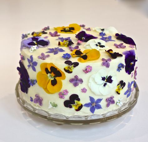 Stunning cake created by a customer using a sweet box of edible flowers from www.maddocksfarmorganics.co.uk #edibleflowers Cake Fresh Flowers, Edible Flowers Cake, Edible Flowers Recipes, Pansy Flowers, Making Cakes, Sweet Flowers, Decorating Cakes, Food Garnishes, Sweet Box