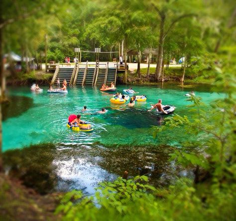 Ginnie Springs Outdoors  I grew up camping, river tubing, scuba diving, exploring miles of underwater caves and caverns, canoeing, swimming and snorkeling here... It is privately owned with over 200 acres on the Sante Fe River and 7 natural springs along with a PADI 5 star facility right on the property... Open since 1976, a lot has changed but still a fun place to get together with friends & family to cookout, drink beer while playing the guitar around the bonfire and just having a great time.. Ginnie Springs, Florida Tourism, Beautiful Florida, Tubing River, Florida Springs, Family Beach Trip, Florida Trip, North Florida, Family Outings