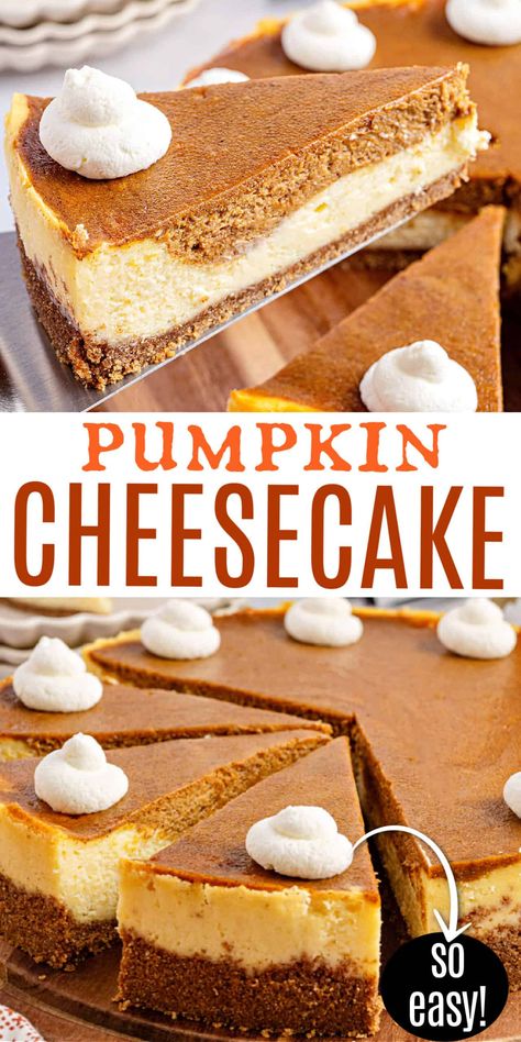 Homemade Pumpkin Pie Cheesecake, Pumpkin Cheesecake Springform Pan, Pumpkin Pie Recipe Cheesecake, Pumpkin Cheesecake Layered, No Bake Cream Cheese Pumpkin Pie Recipe, Philadelphia Pumpkin Cheesecake, Fall Cheesecake Recipes No Bake, Pies To Make, Carmel Pumpkin Cheesecake