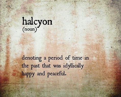 I actually like that word...and its meaning. Uncommon Words, Halcyon Days, Unusual Words, Rare Words, Word Definitions, Unique Words, Aesthetic Words, Great Words, Favorite Words