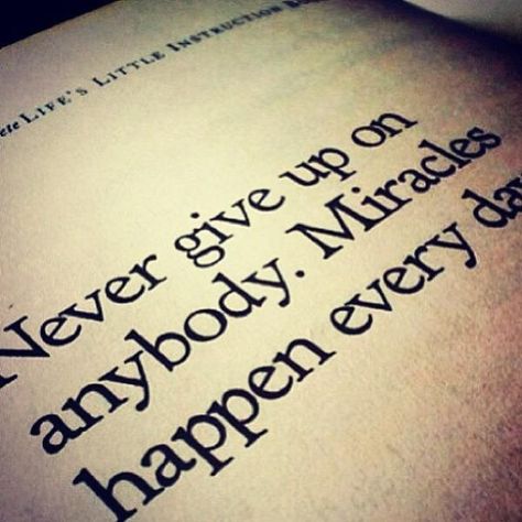 Quote Never give up on anybody Miracles happen everyday Everyday Wallpaper, Miracles Happen Everyday, The Tao, Quote Unquote, Motivational Wallpaper, Miracles Happen, Motivational Quotes For Life, Typography Quotes, Wonderful Words