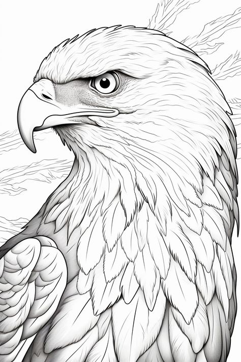 Drawing Of Eagle, Egal Drawings, Macaw Parrot Drawing, Drawing Of An Eagle, Eagle Art Draw, Eagle Drawing Sketches, Traceable Drawings, Falcon Coloring Page, Bald Eagle Coloring Page