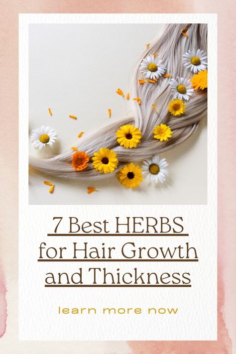 Looking to boost your natural hair growth? Dive into herbs for hair growth as we explore the top 7 herbs that can transform your tresses from limp to luscious. Discover DIY recipes and treatments that'll have your hair thanking you in no time. Let's nurture your mane naturally! 💚 #HairCare #HerbalRemedies #HairGrowth #naturalhairgrowth #hairgrowthtreatment #herbsforhairgrowth Herb For Hair Growth, Herbs Good For Hair Growth, Hair Herbs, Foods For Healthy Hair, Herbs For Hair Growth, Make Hair Grow Faster, Herbal Hair Growth, Natural Hair Growth Remedies, Accelerate Hair Growth