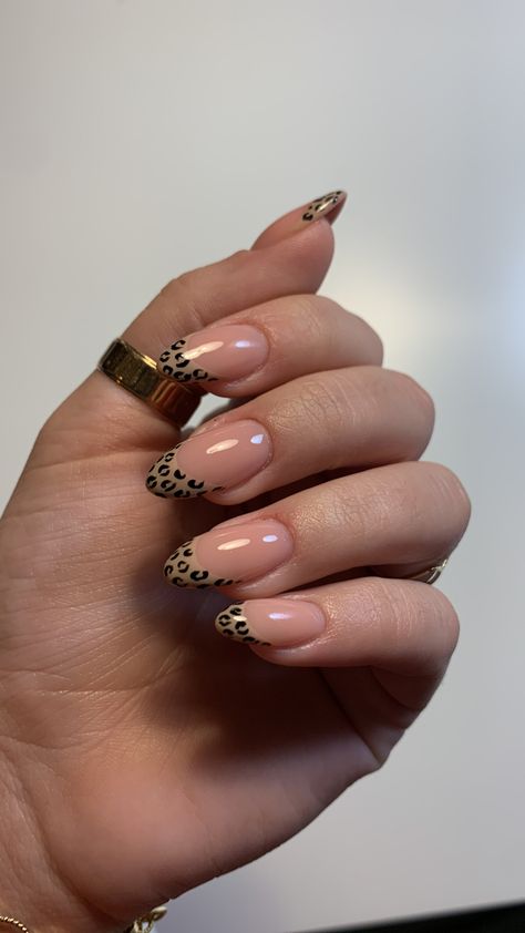 Almond Lepord Nails, Leopard French Nails Almond, Leopard Almond Nails Cheetah Print, Leopard Print French Tips Almond, Cheetah Print French Tip Nails Almond, French Tip Leopard Nails, Cheetah French Nails, Leopard Print Almond Nails, Cheetah Print French Tips