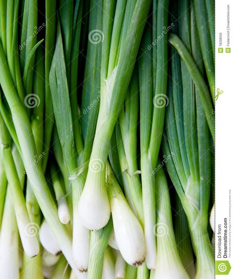 Fresh Green Onions Onion Seeds, Colorful Veggies, Green Peace, Stir Fry Dishes, Heirloom Vegetables, Garden Veggies, Nature's Bounty, Seed Saving, Plant Spacing