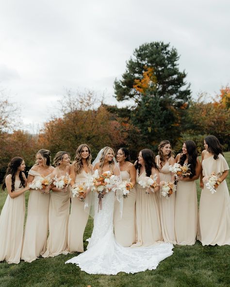 I am so ready for all the Fall weddings this year!! This season is gonna be a good one! 🤍🍂 Venue: @crispinhillweddings Photo: @samrenaudphoto Hair: @buffalobohobridalhair Makeup: @glowupbyangilee Florals: @kelseawinchell Dress: @2heartsbridal Earthy Wedding, Fall Weddings, Wedding Photo, Fall Wedding, The Fall, Wedding Photos, This Year, Wedding Photography, Weddings