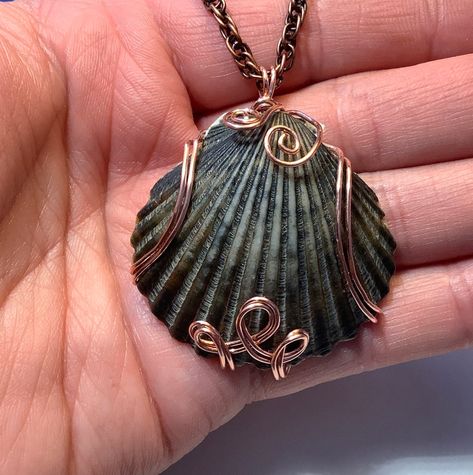 Copper Wire Wrapped Black Scallop Seashell Pendant - Etsy Seashell Wire Wrap, Shell Necklace Diy, Scallop Shell Craft, Seashell Jewelry Diy, Scallop Seashell, Johnny Knoxville, Aesthetic Jewellery, Shell Jewellery, Knotted Bracelet