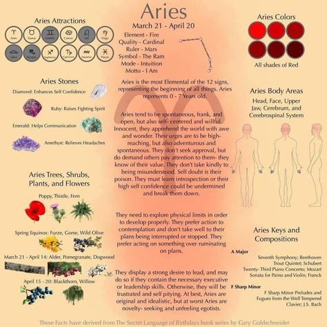 Aries Witch, Astrology Business, Witchy Astrology, Aries Rising, April Aries, Aries Sun, Aries Aesthetic, Aries Season, Aries Zodiac Facts