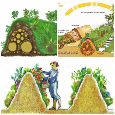 Hugelkultur - Natural Permaculture Gardening Permaculture Gardening, Veggie Garden, Raised Beds, Raised Garden, Permaculture, Dream Garden, Plant Life, Garden Planning, Horticulture