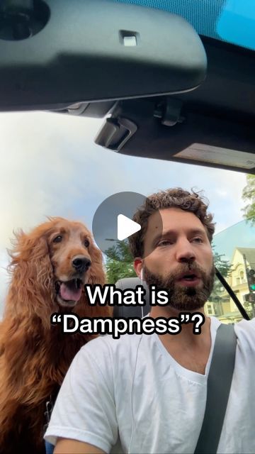 Bradley Campbell on Instagram: "What is “dampness”? #damp #moist #mucus #phlegm #dampness #mucuslessdiet #phlegmatic #tcm #tcmlivingwell" Dampness Chinese Medicine, Tcm Dampness, Chinese Medicine, Living Well, Medicine, On Instagram, Instagram