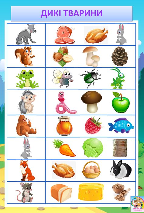 Kids Worksheets Preschool, Preschool Learning Activities, Preschool Learning, Preschool Worksheets, Worksheets For Kids, Learning Activities, Animals Wild, Preschool, Birds