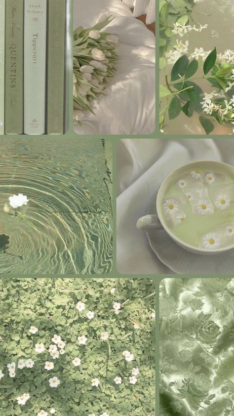 Background Collage Aesthetic, Light Green Rooms, Green Aesthetic Tumblr, Mint Green Wallpaper Iphone, Background Collage, Green Inspo, Mint Green Wallpaper, Light Flowers, Pistachio Color