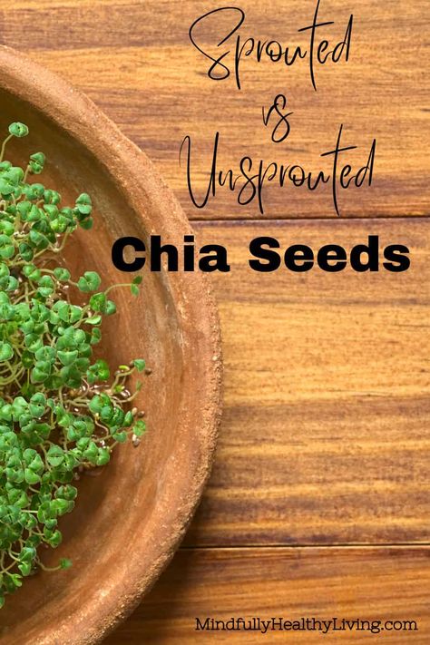 Chia Seed Sprouts, Sprout Chia Seeds, Chia Sprouts, Sprouting Chia Seeds, Sprouts Benefits, Sprouting Quinoa, Soak Chia Seeds, Ground Chia Seeds, Holistic Nutrition