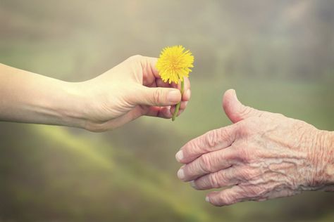 Senior woman sharing a flower with young woman Calisthenics Routine, Basic Geography, Body Bones, Spine Pain, Rhonda Byrne, Family Caregiver, Reading Comprehension Worksheets, Elderly Care, Math Facts