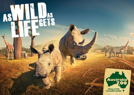 Australia Zoo Ad - Rhino Irwin Family, Robert Irwin, Zoo Art, Crocodile Hunter, Zoo Ideas, Ads Campaign, Creative Advertising Campaign, Publicidad Creativa, Graphic Design Ads