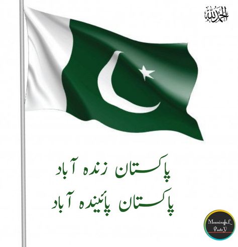 Pakistan Zindabad, Dont Touch My Phone Wallpaper, Dont Touch Me, Download Cute Wallpapers, Cute Wallpapers, Pakistan, Phone Wallpaper, Wallpapers, Collage