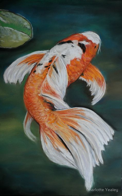 Butterfly Koi Fish, Koi Fish Art, Butterfly Koi, Coy Fish, Art Vampire, Koi Painting, Dengeki Daisy, Koi Art, Carpe Koi