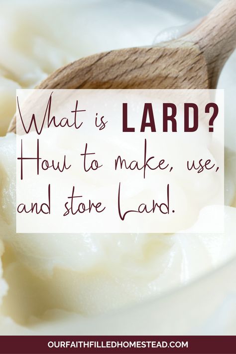 What Is Lard and How To Use It - Our Faith Filled Homestead Lard Biscuits Recipes, Lard Recipe, Rendering Lard, Tallow Recipe, Old Fashioned Tea Cakes, Dairy Free Biscuits, How To Make Pie, Amish Recipes, Reduce Food Waste