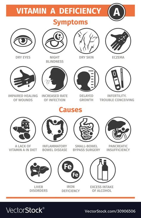 Symptoms and causes vitamin a deficiency vector image Iron Deficiency Symptoms, Vitamin A Deficiency, Vitamin B6 Deficiency, Vitamin K Deficiency, Enlarged Thyroid, Magnesium Deficiency Symptoms, Iodine Deficiency, Zinc Deficiency, Muscle Twitching