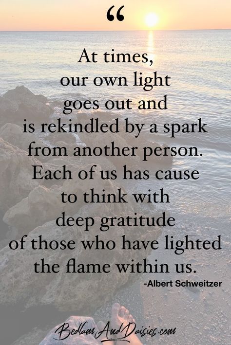 Grateful Quotes, Albert Schweitzer, Today's Quote, Light Quotes, Gratitude Affirmations, Thanksgiving Quotes, Attitude Of Gratitude, Gratitude Quotes, The Flame