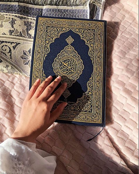 @un_told_secretz on Instagram: “Mashallah 🤍 . . . #quranphotography #quran #quran_kareem #quron #koran #quarantine #qurankareem #allah #muslim #muslimah #afghan #hand…” Eid Adha Mubarak, Quran Book, Beautiful Quotes About Allah, Butterfly Wallpaper, Islamic Videos, Celebrity Dresses, Cute Couples Goals, Quran, My Pictures