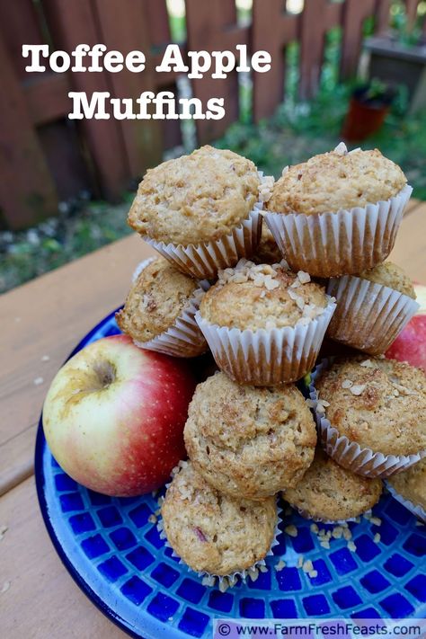 Toffee Apple Muffins, Toffee Muffins, Blender Muffin, Apple Oatmeal Muffins, Recipe Using Apples, Easy Toffee, Cake Mix Muffins, Toffee Cake, Blender Muffins