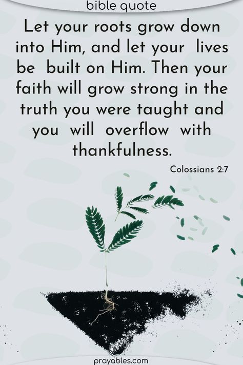 Let your roots grow down into Him, and let your lives be built on Him. Then, your faith will grow strong in the truth you were taught, and you will overflow with thankfulness. Colossians 2:7  This Bible verse about roots reminds us to grow in faith. Quotes like this can be an inspiration for you and others. Share this with friends. Root For Each Other Quotes, Planting Roots Quotes, Rooted Quotes, Rooted Bible Verse, Quotes About Roots, Roots Quotes, Rooted In Love, Bible Quotes Kjv, Colossians 2