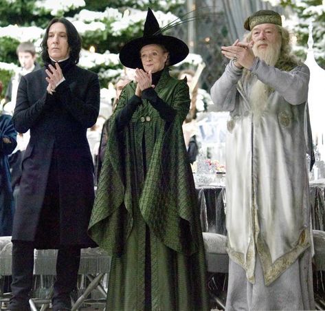 Costuming McGonagall from Harry Potter – Red Shoes. Red Wine. The Silver Trio, Yule Ball Aesthetic, Gray Hair Spray, Professor Minerva Mcgonagall, Harry Potter Yule Ball, Harry Potter Robes, Minerva Mcgonagall, Wizard Robes, Stile Harry Potter