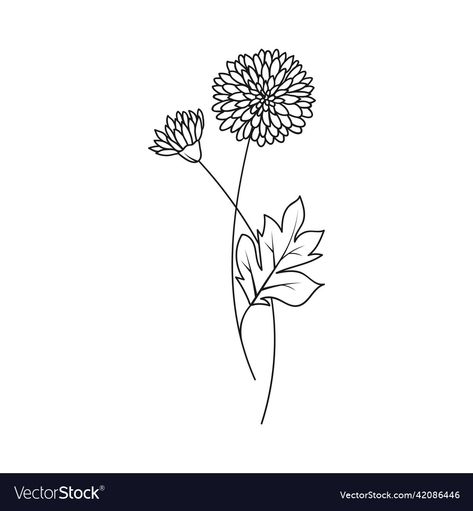 Simple Chrisantemum Tattoo, Minimal Chrysanthemum Tattoo, White Chrysanthemum Tattoo, Christanthium Flower Tattoo, November Flower Drawing, November Birth Flowers Tattoo, Chrysanthemum Simple Drawing, Black And White Chrysanthemum Tattoo, Birth Month Flower Tattoos November