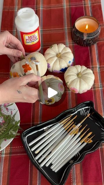 Pinterest on Instagram: "A pumpkin craft that won’t be an arm workout? Sign us up. Mod Podge your pumpkins this Monday with @kateelay.

Materials needed:
- Small, white pumpkins
- 1 jar Mod Podge gloss sealer
- 1 set of paint brushes
- Assorted real dried pressed flowers & leaves (for this project, I used 4 pumpkins and 1 pack of 106 real dried pressed flowers & leaves)

Instructions:
1. Paint a light layer of Mod Podge gloss sealer onto your pumpkin where you will be placing your flower or leaves
2. Place the flower or leaf onto the glossed area and paint over the flower or leaf completely with another layer of Mod Podge gloss sealer
3. Remember, the Mod Podge dries completely clear, so don’t worry when it looks like white glue at first
4. Have fun with it a with varying colors and patter Mod Podge Gloss, Pumpkin Craft, Dried Pressed Flowers, Dried And Pressed Flowers, Modge Podge, The Mod, White Glue, Pumpkin Crafts, White Pumpkins