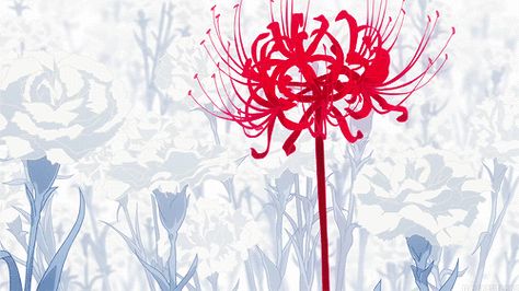 Tokyo Ghoul Screenshots, Japanese Christmas Traditions, Tokyo Ghoul Flower, City Gif, Lycoris Radiata, Japanese Christmas, Anime Flower, Lily Wallpaper, Red Spider Lily