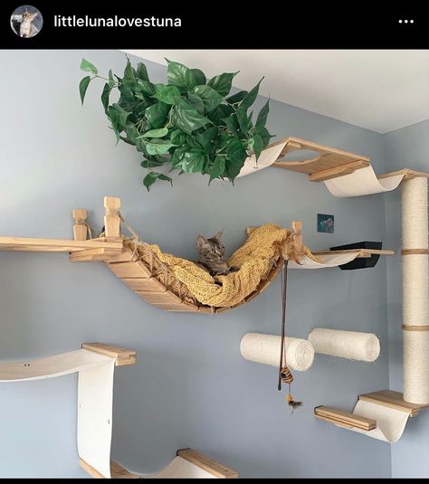 Cat Walkway, Katt Diy, Cat Tree Plans, Cat Playground Outdoor, Cat Playhouse, Cat Furniture Design, Kat Diy, Chat Diy, Diy Cat Tree