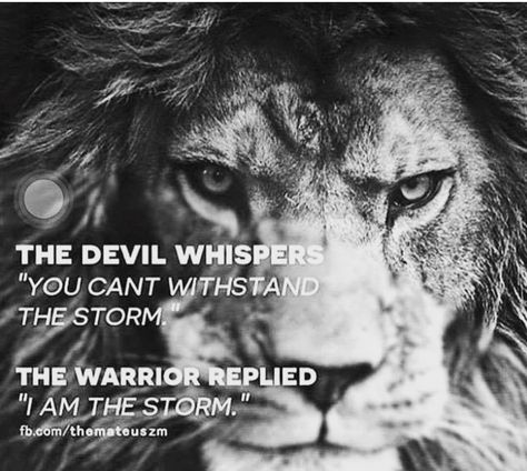 Lion Quotes, Warrior Quotes, Lion Of Judah, A Lion, The Devil, A Quote, The Words, Great Quotes, Islamic Quotes