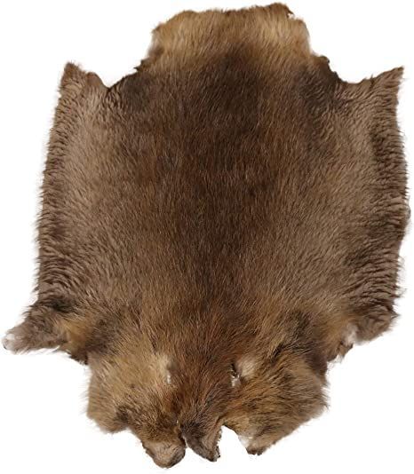 Glacier Wear Western Beaver Pelt (Large 55-60 Inches) Coyote Pelt Display, Wild Boar Taxidermy, Beaver Swimming, Beaver Pelt, Beaver Fur Coat, Amazon Art, The Amazon, Crafts Sewing, Sewing Stores