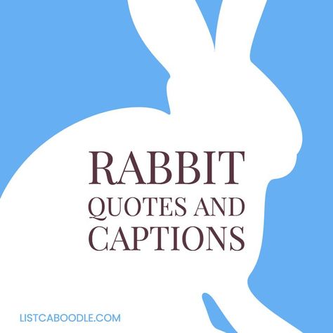 The best rabbit quotes and captions. Quotes About Rabbits, Rabbit Quotes Inspiration, Quotes About Bunnies, Rabbit Captions For Instagram, Rabbit Captions, Bunny Rabbit Quotes, Rabbit Quotes Funny, Happy Bunny Quotes, Rabbit Quotes