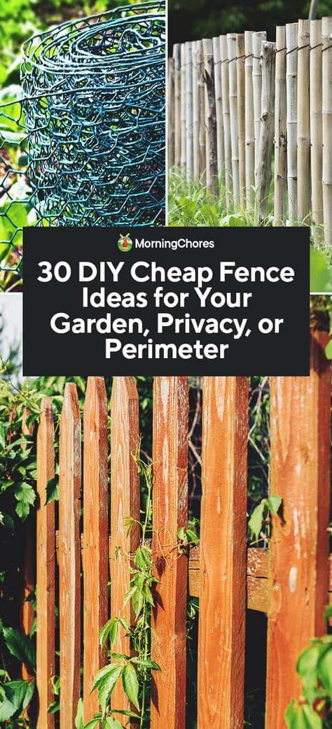 30 DIY Cheap Fence Ideas for Your Garden, Privacy, or Perimeter Diy Cheap Fence, Diy Fence Ideas Cheap, Cheap Fence Ideas, Cheap Privacy Fence, Cheap Garden Fencing, Diy Backyard Fence, Diy Privacy Fence, Garden Fence Ideas, Fence Options