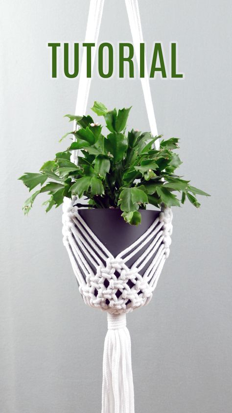 macrame plant hanger, air plant hanger tutorial, plant hangings, macrame plant holders,hanging plant holder, how to weave, boho home decor diy, macrame tutorial, macrame cord, perchas de macramé, plantas colgantes, makramee anleitung, makramee blumenampel, makrama, makrome, кашпо макраме, Diy Macrame Plant Hanger Easy, Diy Macrame Plant Hanger Pattern, Diy Macrame Plant Hanger Tutorials, Plant Hanger Diy, Tutorial Macramé, Macrame Plant Hanger Tutorial, Macrame Plant Hanger Patterns, Macrame Hanging Planter, Macrame Planter