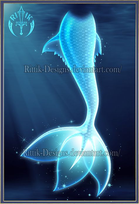 Mermaid tail 1 (downloadable stock) by Rittik-Designs on DeviantArt Mermaid Tail Drawing, Mermaid Fin, Anime Mermaid, Mermaid Drawings, Karakter Disney, Mermaid Outfit, Mermaid Tails, 5 Anime, My Gallery