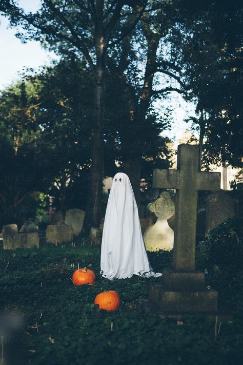 Little boy in halloween ghost costume in a graveyard by kkgas - Stocksy United Vintage Ghost Costume, Ghost In Graveyard, Graveyard Photoshoot, Butterfly Terrarium, Ghost Film, Sheet Ghosts, Halloween Ghost Costume, Ghost Aesthetic, Halloween Sleepover