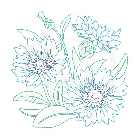 Cornflower Sketch SVG/DXF | Other Flowers | Drawing | Craft Genesis Corn Flower Drawing, Cornflower Sketch, Cornflowers Drawing, Coneflower Drawing, Cornflower Drawing, Branch Christmas Tree, Flower Line Drawings, Blue Corn, Stamp Carving