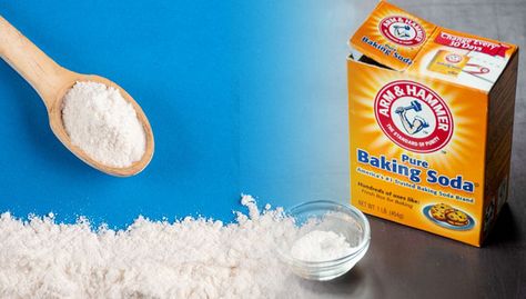 Does Baking Soda Kill Bed Bugs? The Real Truth Bedbugs Removal Diy Essential Oils, Bed Bugs How To Get Rid Of Baking Soda, Kill Bed Bugs Fast, Get Rid Of Bed Bugs Fast Diy, Bed Bugs How To Get Rid Of Fast, Bed Bugs How To Get Rid Of, Killing Bed Bugs, What Kills Bed Bugs, Bed Bug Remedies