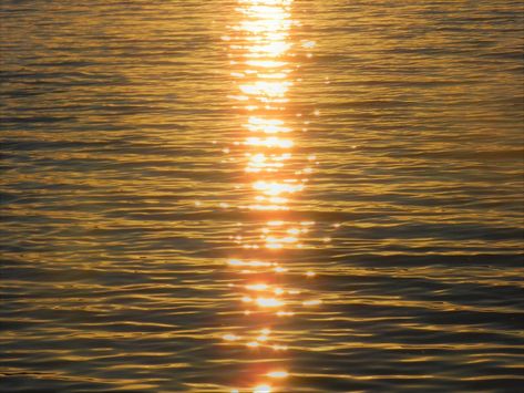 Glitter in the water. Sun Reflection On Water, Goldenhour Aesthetic, Golden Lake, Water Sunset, Fotos Aesthetic, Dream Aesthetic, Lake Water, Nature Aesthetic, Golden Hour