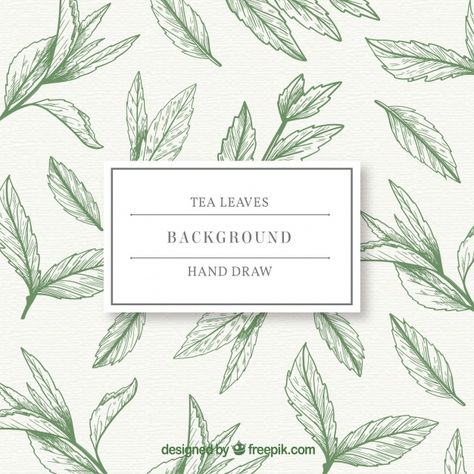 Tea Leaf Illustration, Tea Leaves Illustration, Leaves Sketch, Sketch Background, Tea Packaging Design, Leaves Background, Graphic Trends, Leaves Illustration, Leaf Illustration