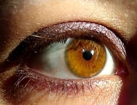 Dark Amber Eyes, Honey Eyes Color, Amber Eyes Color, Desired Features, Honey Eyes, Iris Eye, Beautiful Eyes Color, Color Eyes, Amber Eyes