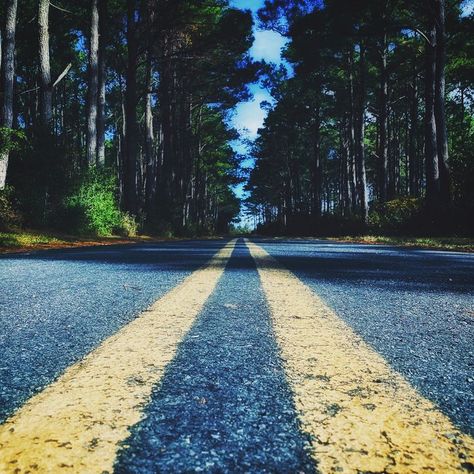 A Walk Down Memory Lane By J. Dudley Strawberry Water, Island Photography, Walk Down Memory Lane, Water Photography, Memory Lane, Photography Session, A Walk, North Carolina, Walking