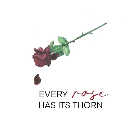 Rose With Thorns, Roses Have Thorns Quotes, Rose Thorn Aesthetic, Rose Thorn Quotes, Every Rose Has Its Thorn, Every Rose Has Its Thorn Quote, Poem About Roses And Thorns, Rose Thorns, Rose Quotes