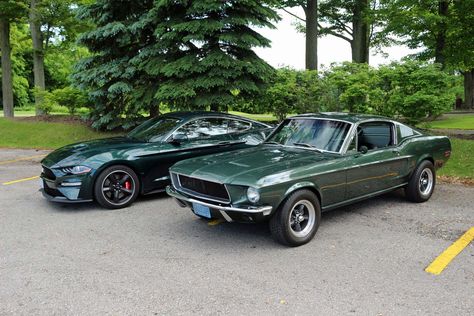 1968 Mustang Gt, Bullitt Mustang, Black Dodge Charger, Ford Mustang Bullitt, Ford Motorsport, Respect Your Elders, Mustang Bullitt, 1968 Mustang, Coilover Suspension