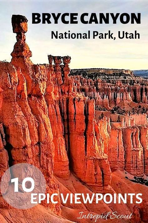 10 Epic Viewpoints in Bryce Canyon National Park - Intrepid Scout Bryce Canyon Hikes, Utah Road Trip, National Park Vacation, Outdoor Vacation, National Park Road Trip, Utah Travel, Bryce Canyon National Park, Utah National Parks, National Parks Trip