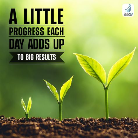 Small steps each day lead to big results eventually. 🏆 So, make those little efforts each day and soon you will fulfil your goals. 😇 #growdaily #growyourbusiness #consistencyisthekey #personalgrowth #results #growingmindset #brandoptimizers #brandmanagement #marketingtips Result Day Quotes, Small Steps Every Day, Sunset Flight, Life Choices Quotes, Choices Quotes, Small Steps, Brand Management, Life Choices, Small Changes